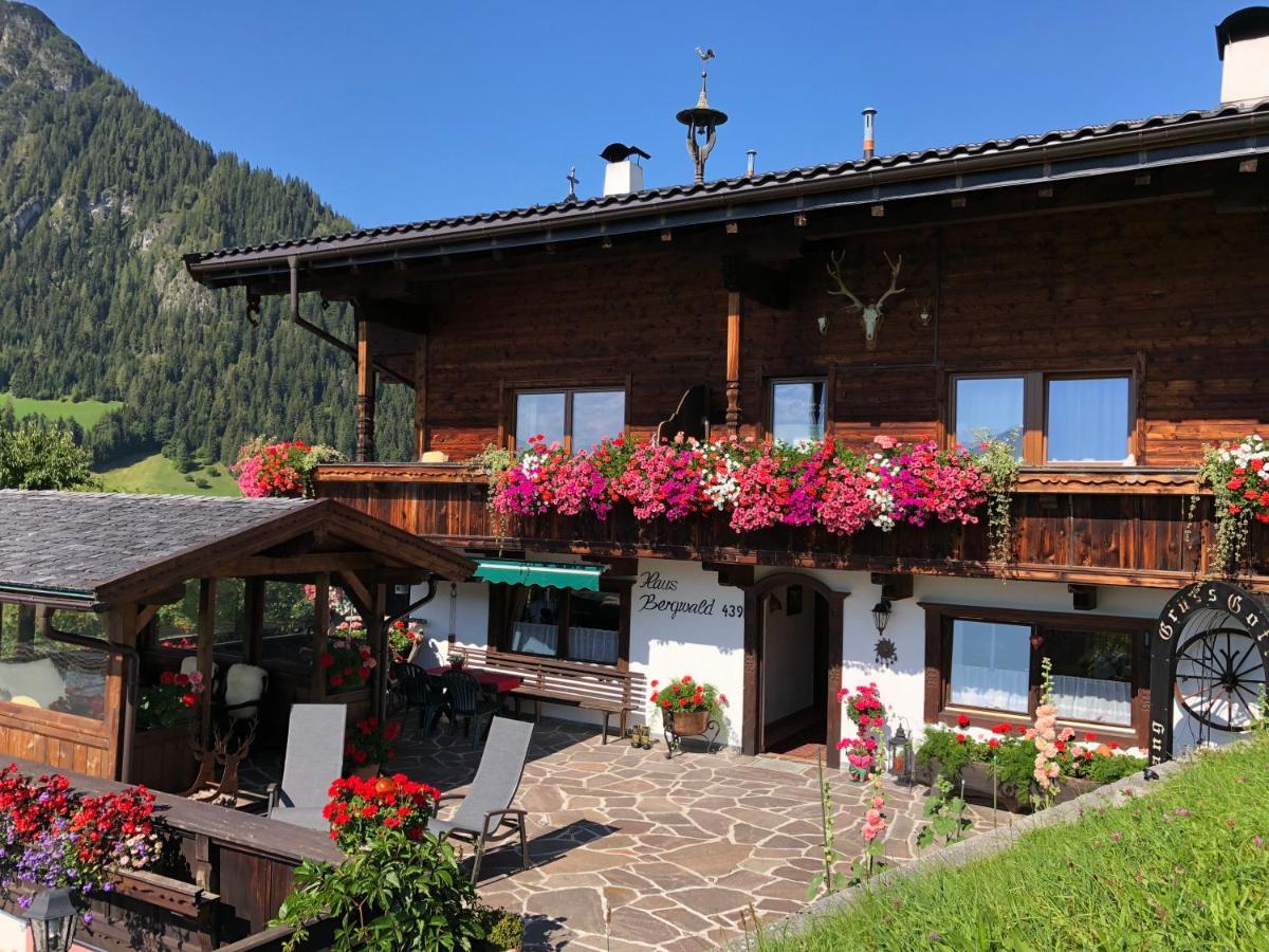 Bergwald Apartment