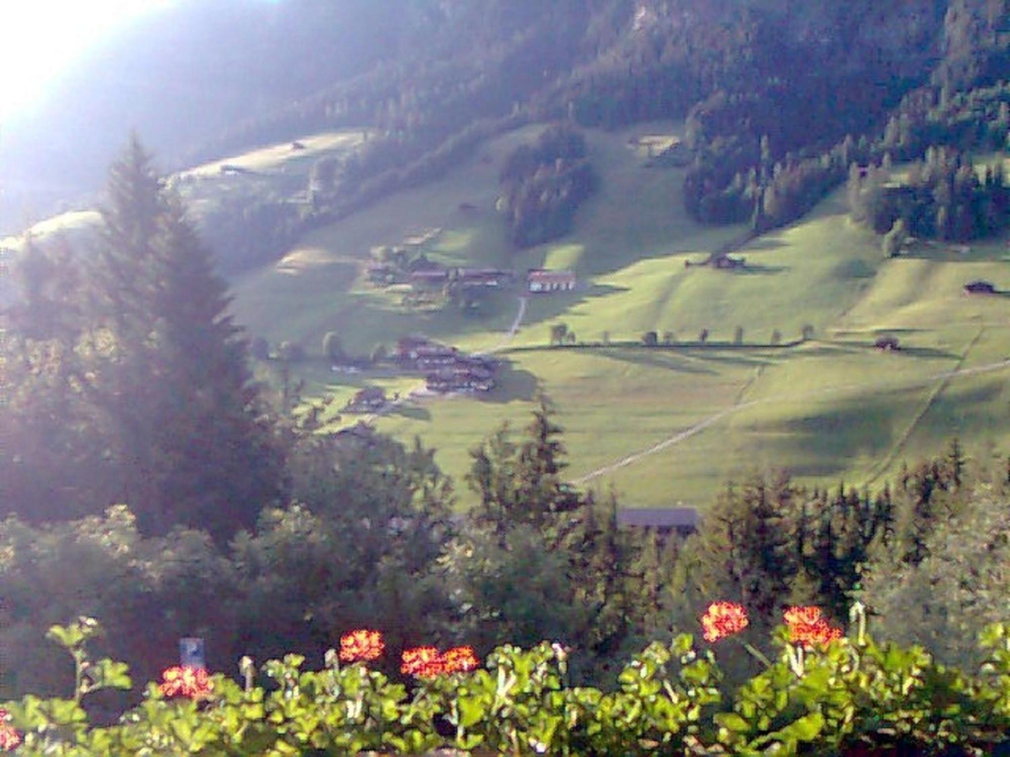 Bergwald