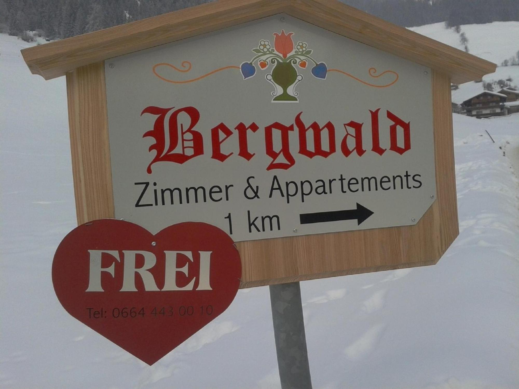 Bergwald Apartment Alpbach