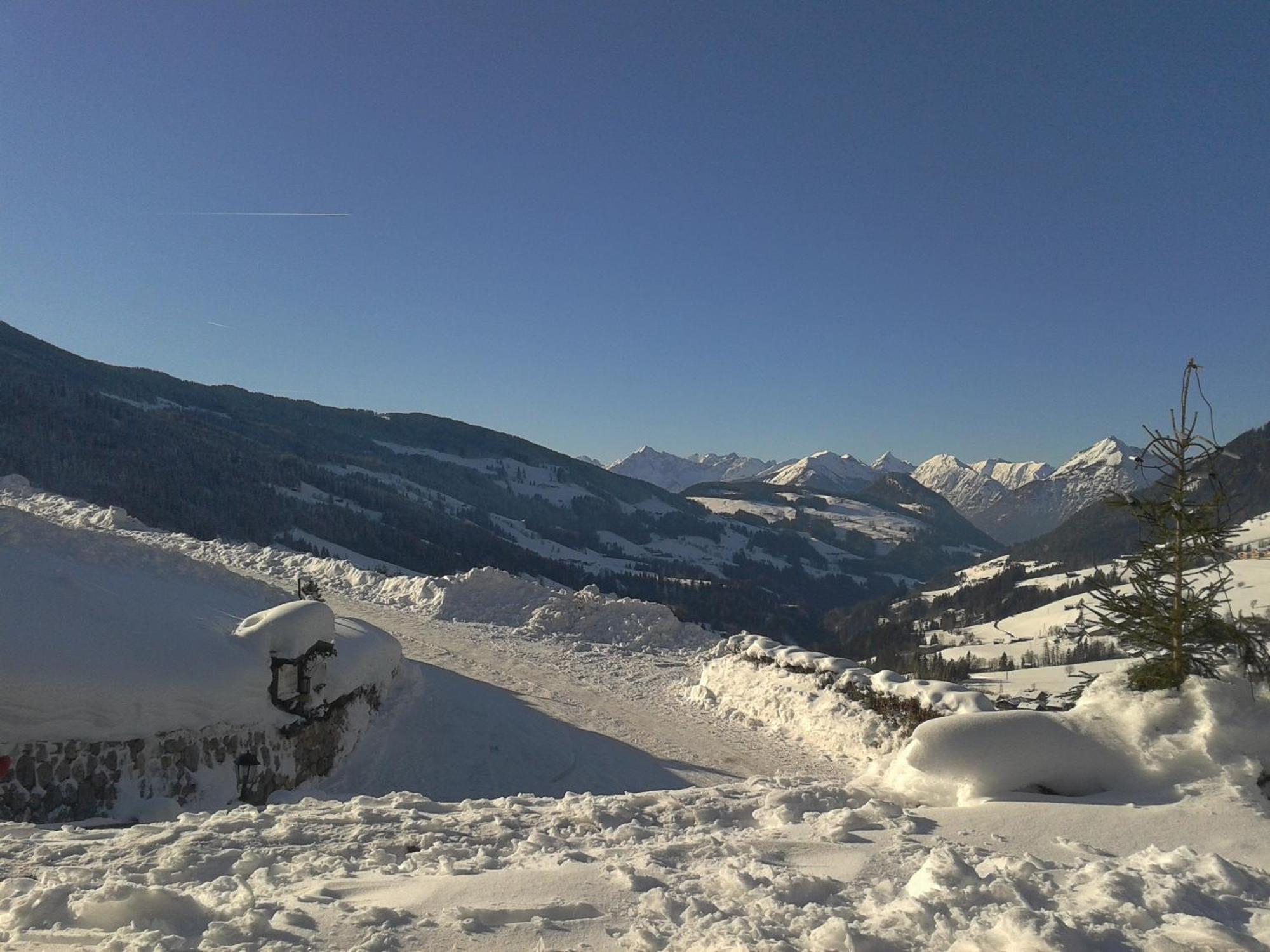 Bergwald Alpbach