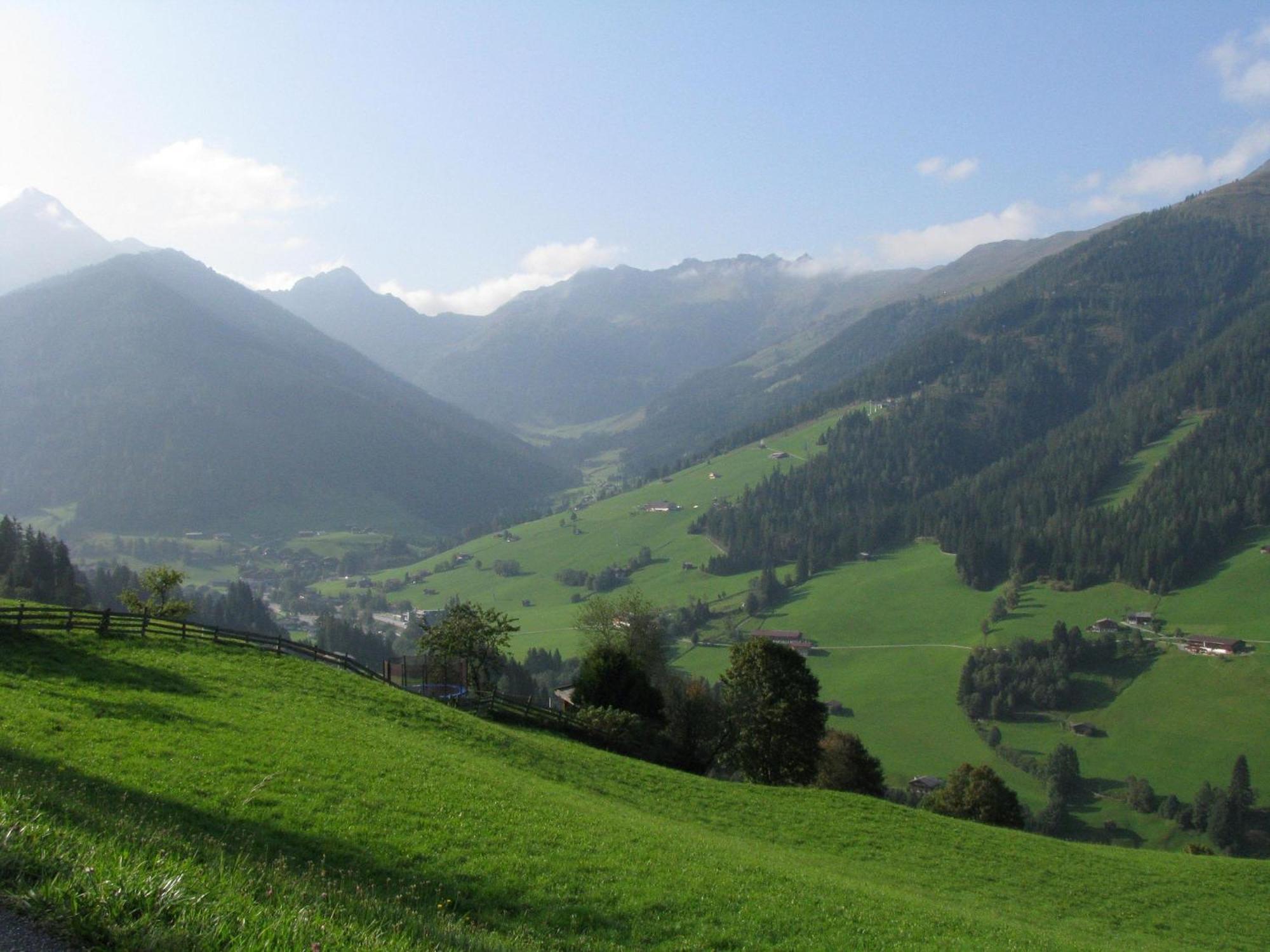 Bergwald