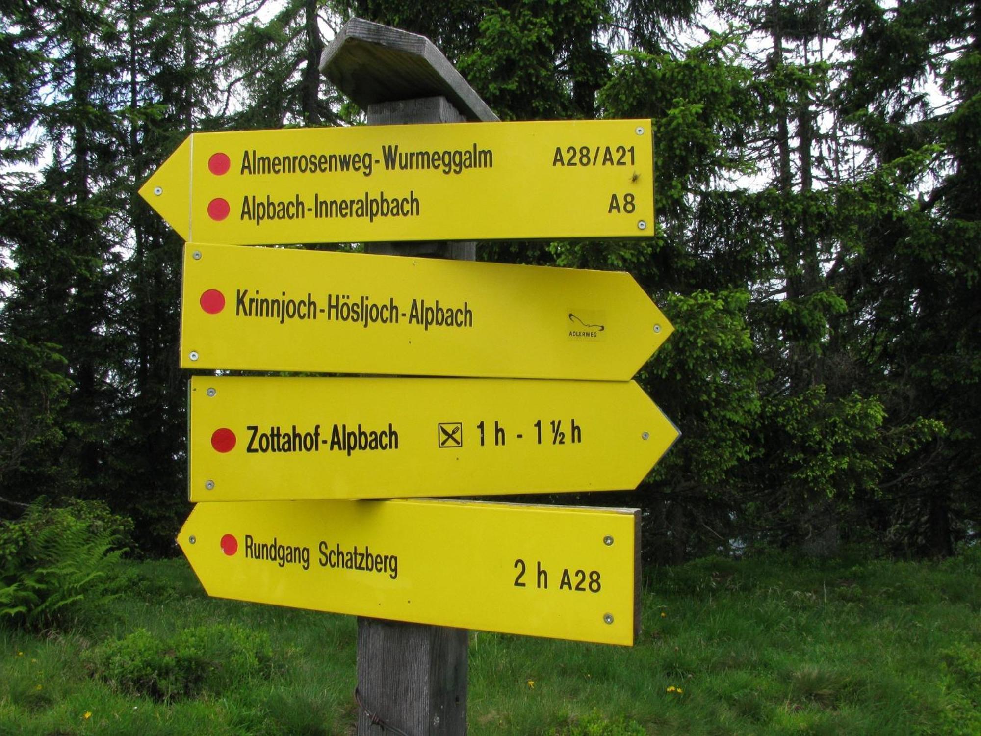 Bergwald Alpbach