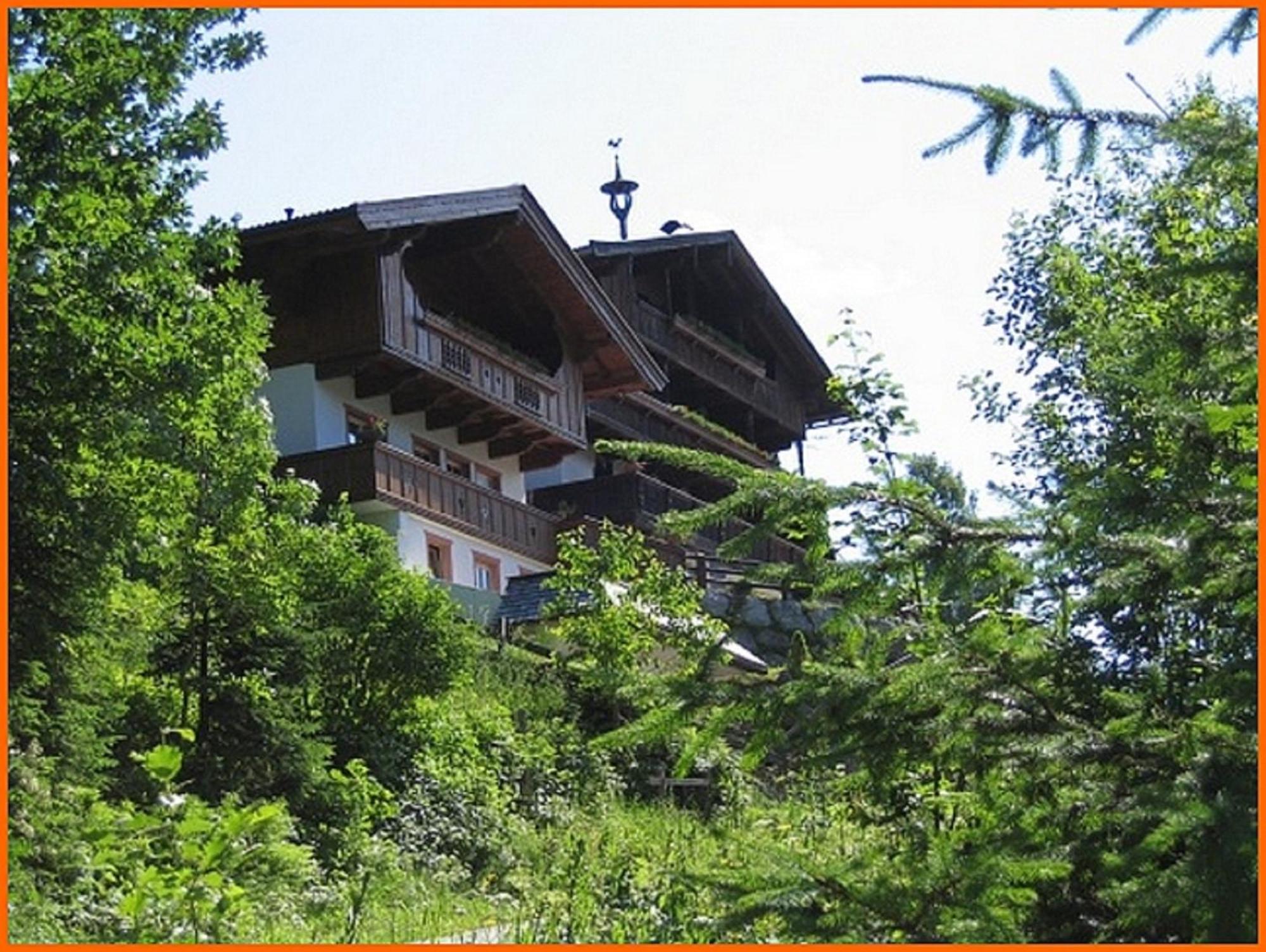 Bergwald * Alpbach