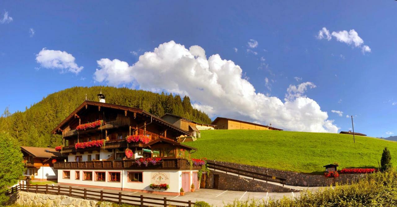 Bergwald Apartment